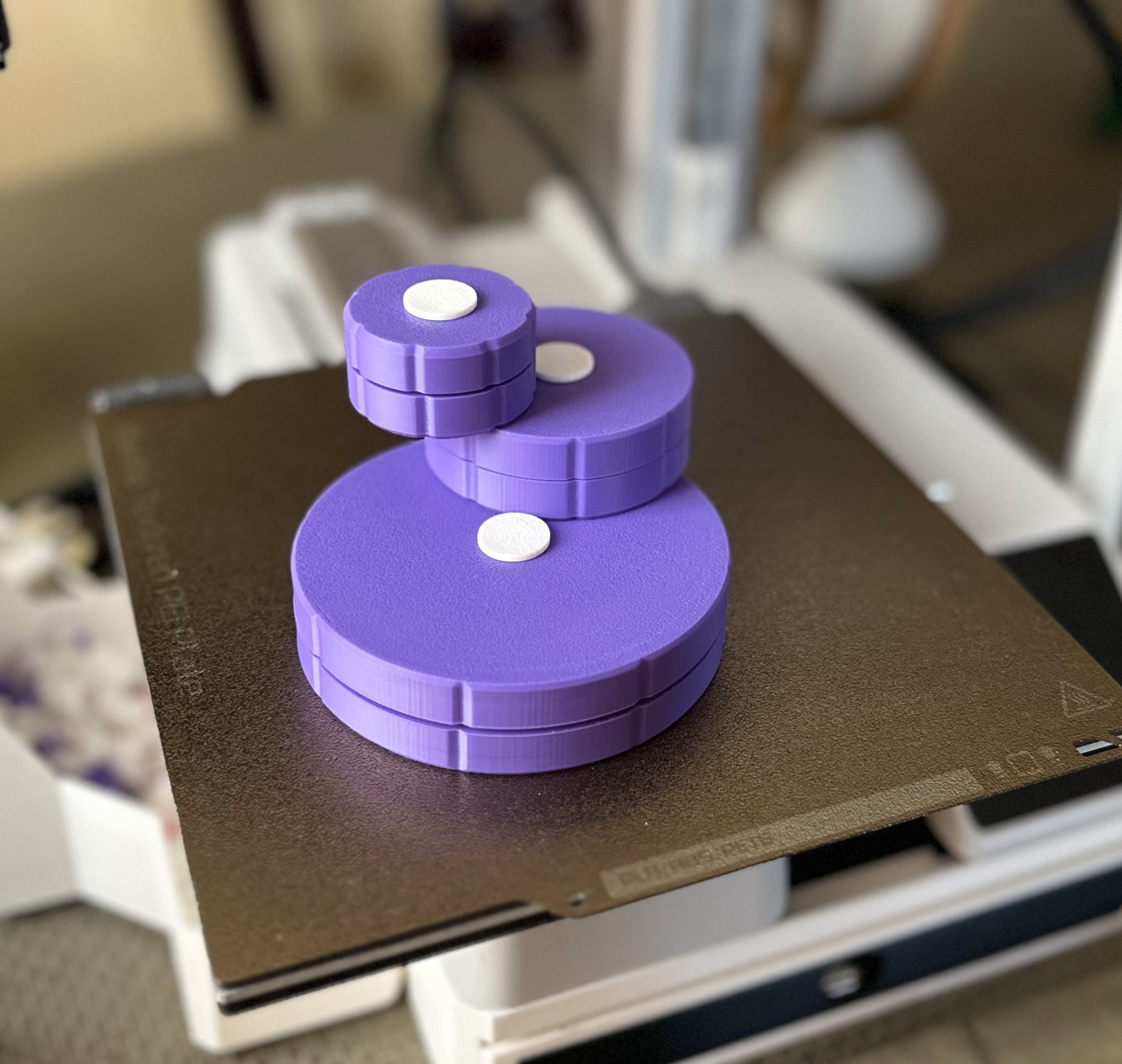 (Dfferent Sizes)Rachet Fidget Toy