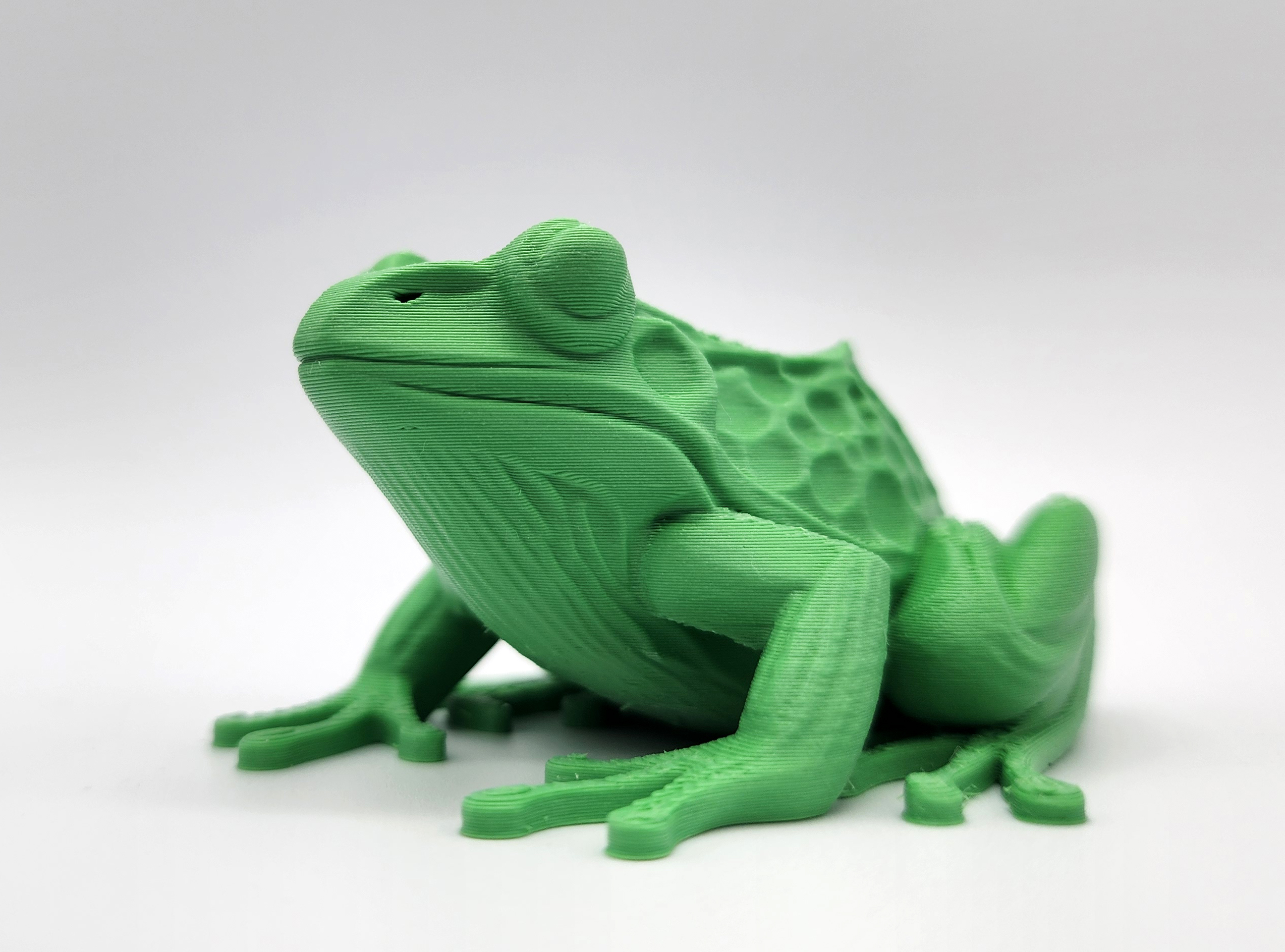 Miniatura 4 do modelo 3D Realistic Frog