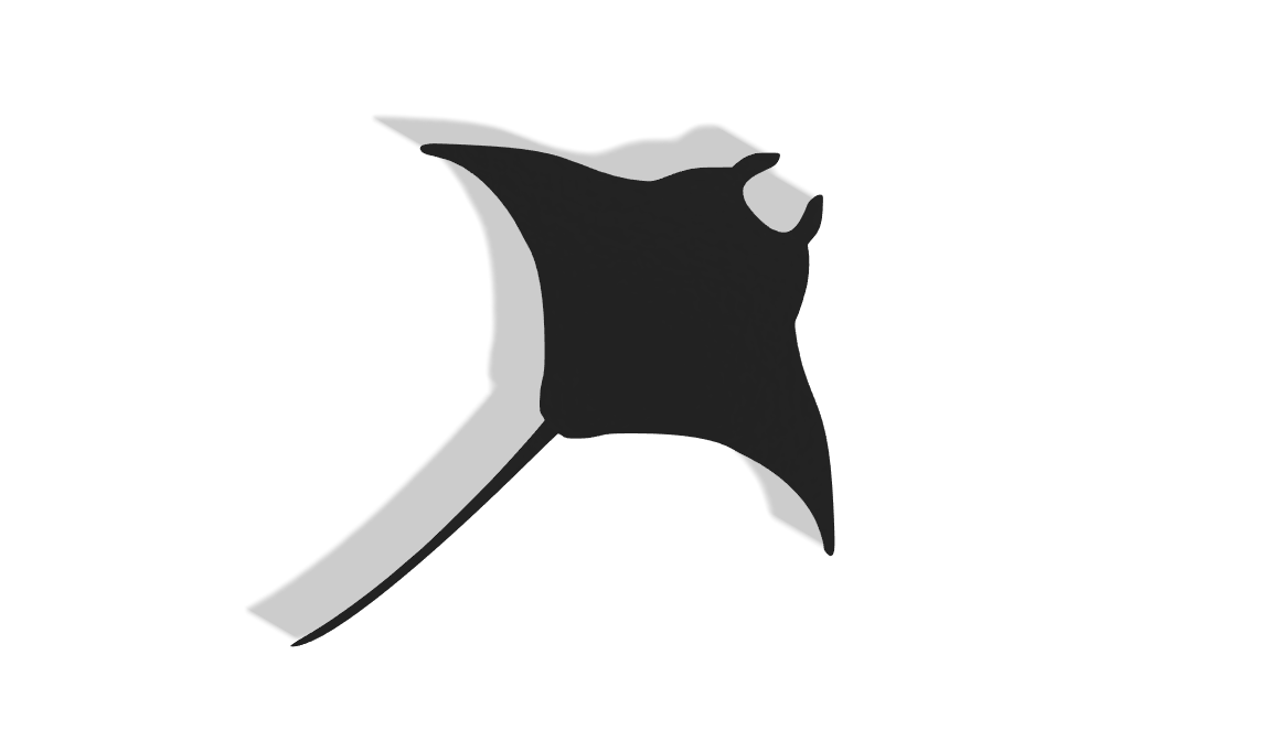 Manta Ray Decor