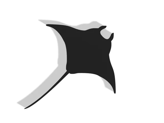Manta Ray Decor