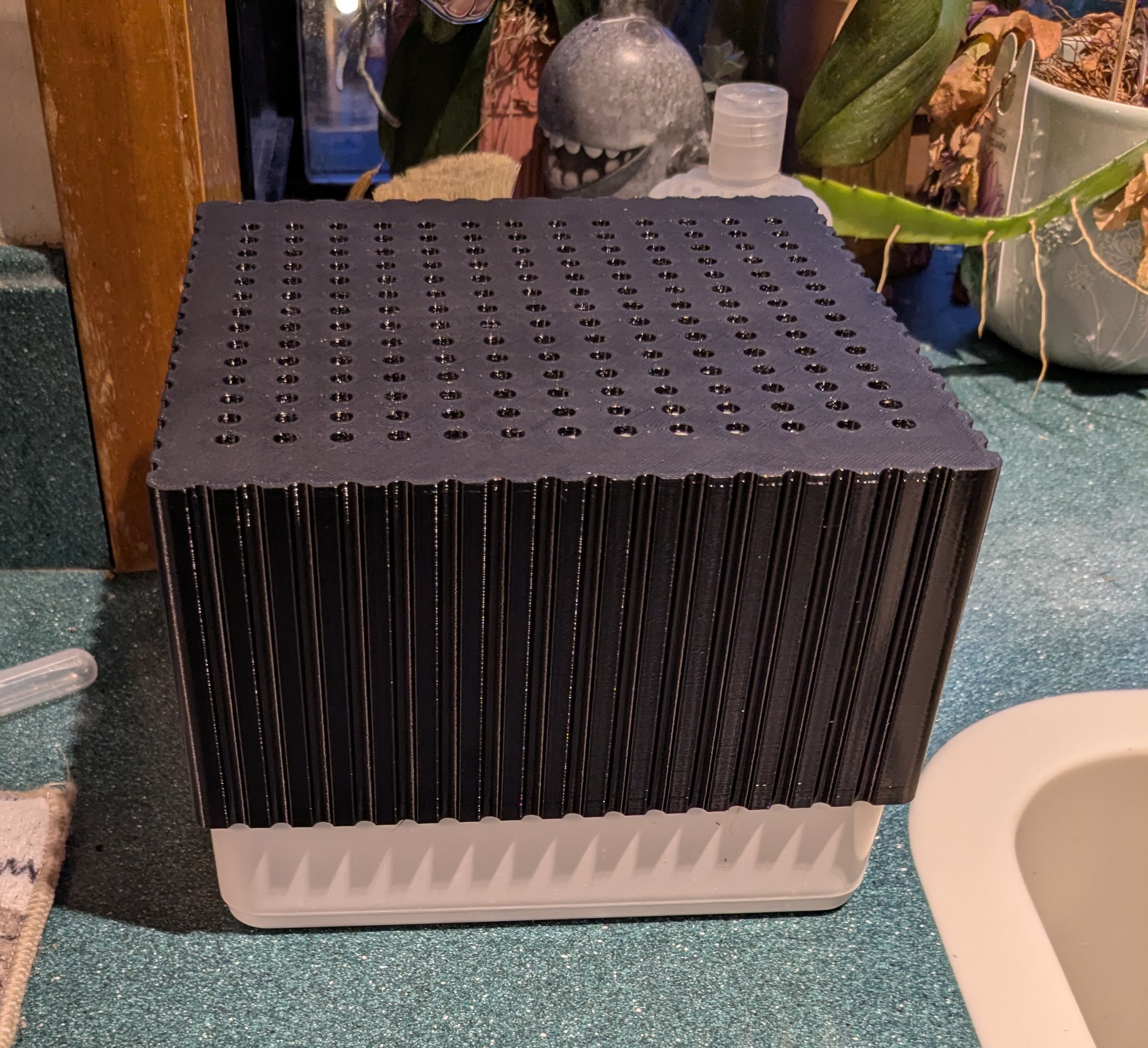 Vase mode resizable seed sprouting cover