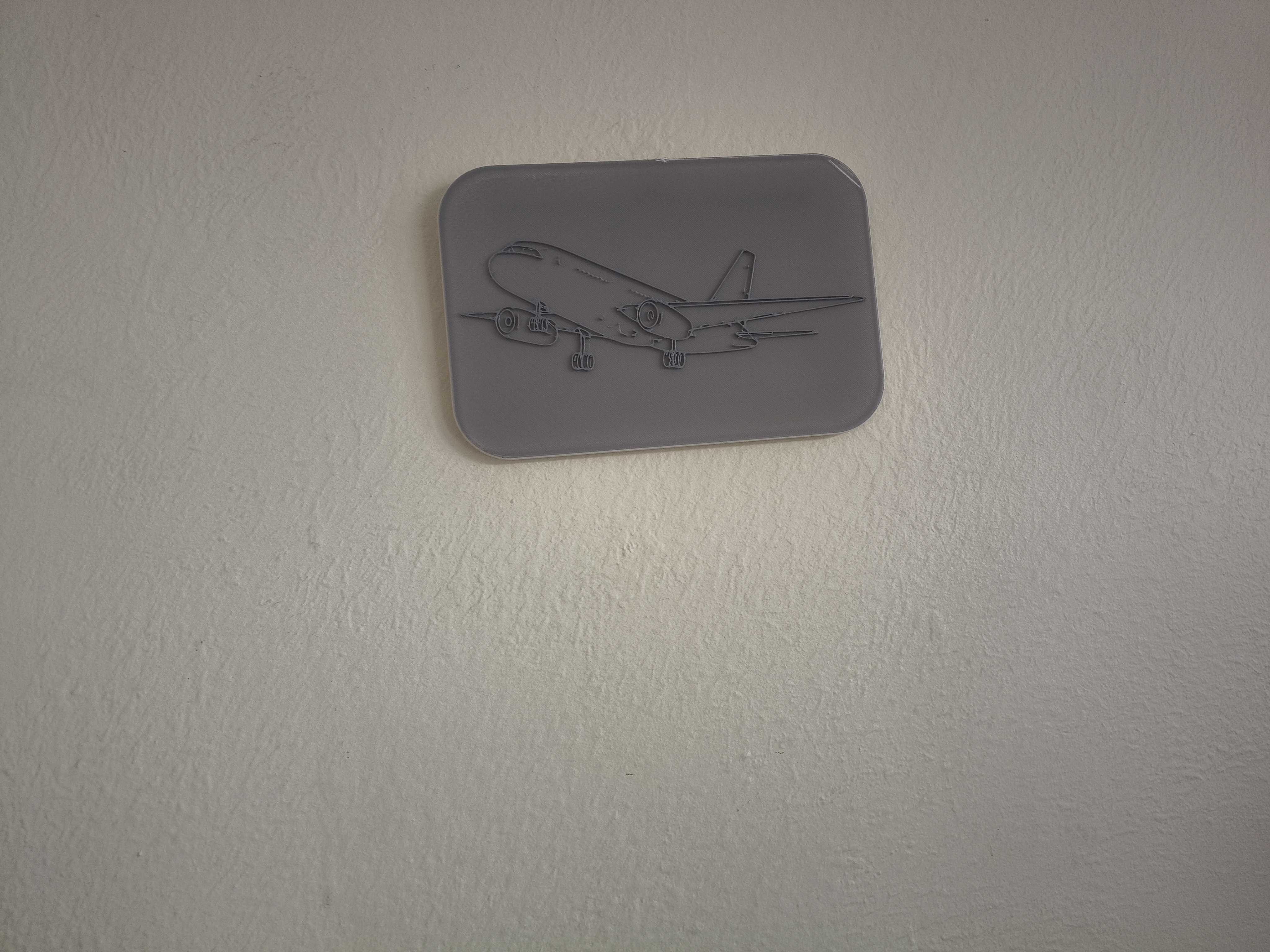 A plane wall art!