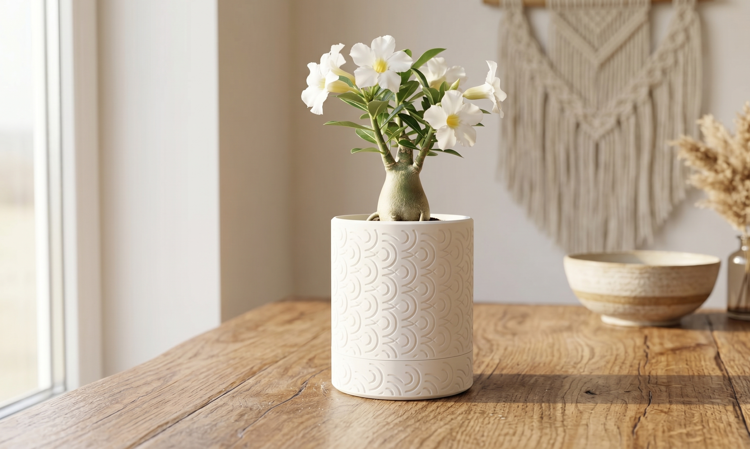 White Scalloped Storage Jar