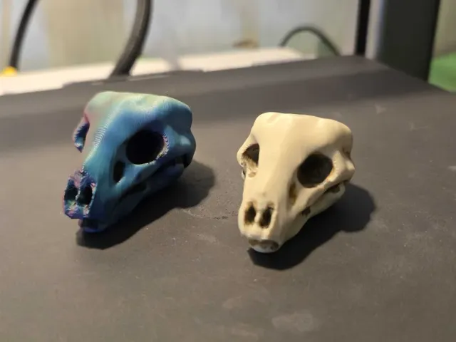 Creature Skull