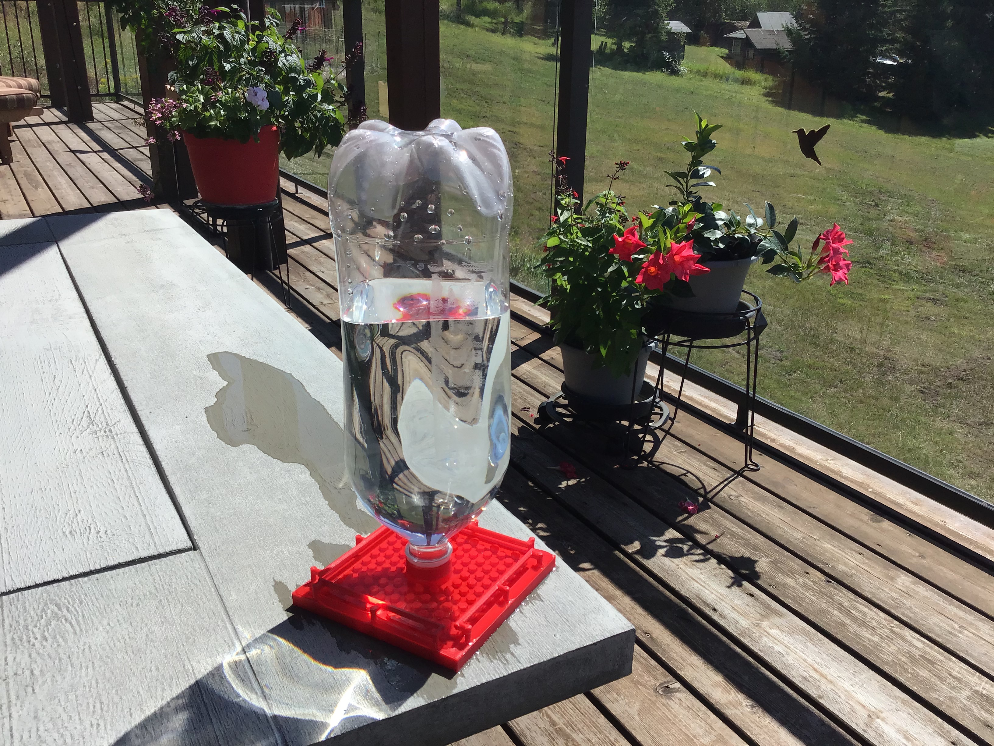 Humming Bird Bath & Drink Dispenser