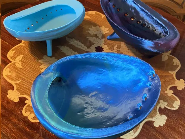 Abalone shell soap dish / Paua seashell bowl