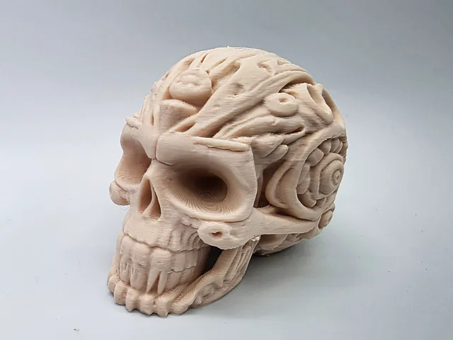 Carved Stone Skull