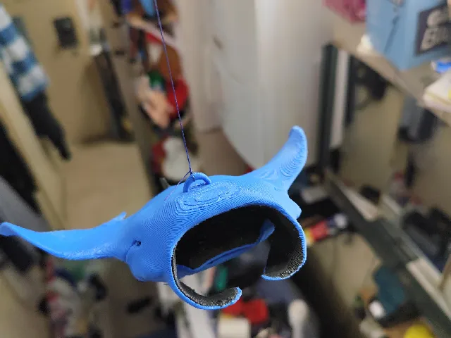 manta ray model