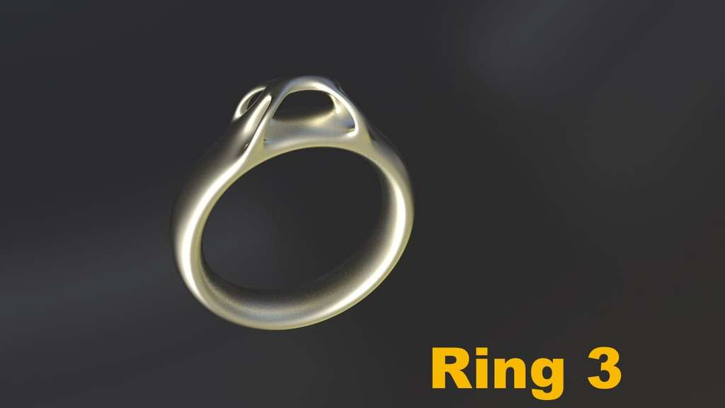 Miniatura 3 do modelo 3D Ring Project