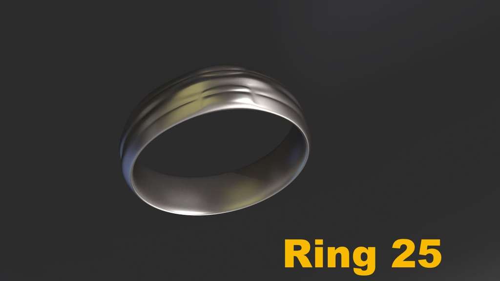 Miniatura 4 do modelo 3D Ring Project