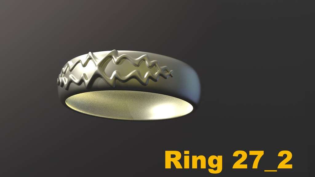 Miniatura 10 do modelo 3D Ring Project