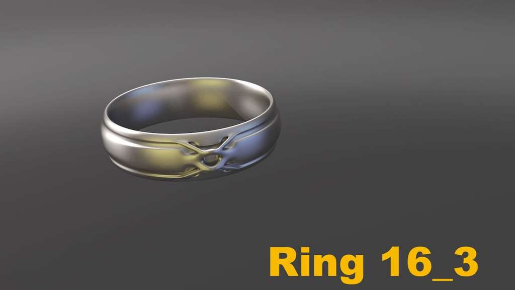 Miniatura 12 do modelo 3D Ring Project