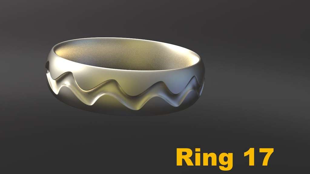 Miniatura 13 do modelo 3D Ring Project