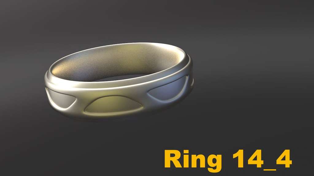 Miniatura 14 do modelo 3D Ring Project