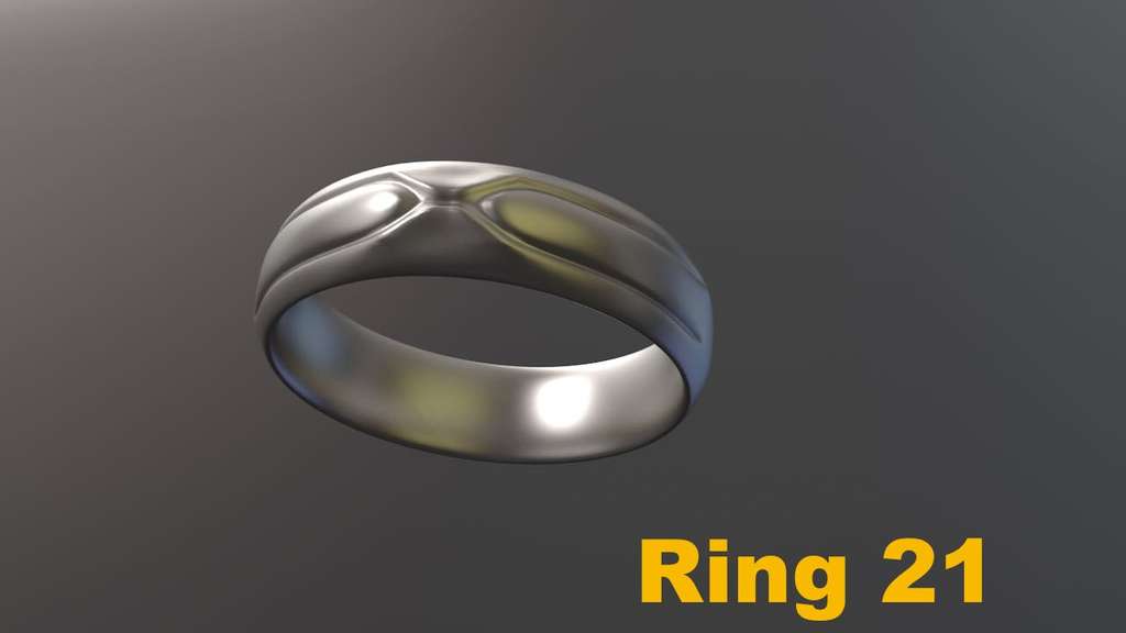 Miniatura 15 do modelo 3D Ring Project