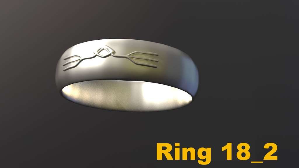 Miniatura 16 do modelo 3D Ring Project