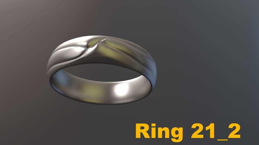Miniatura 17 do modelo 3D Ring Project