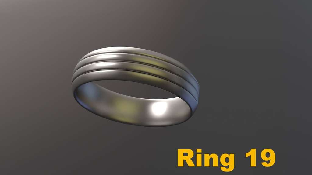 Miniatura 18 do modelo 3D Ring Project