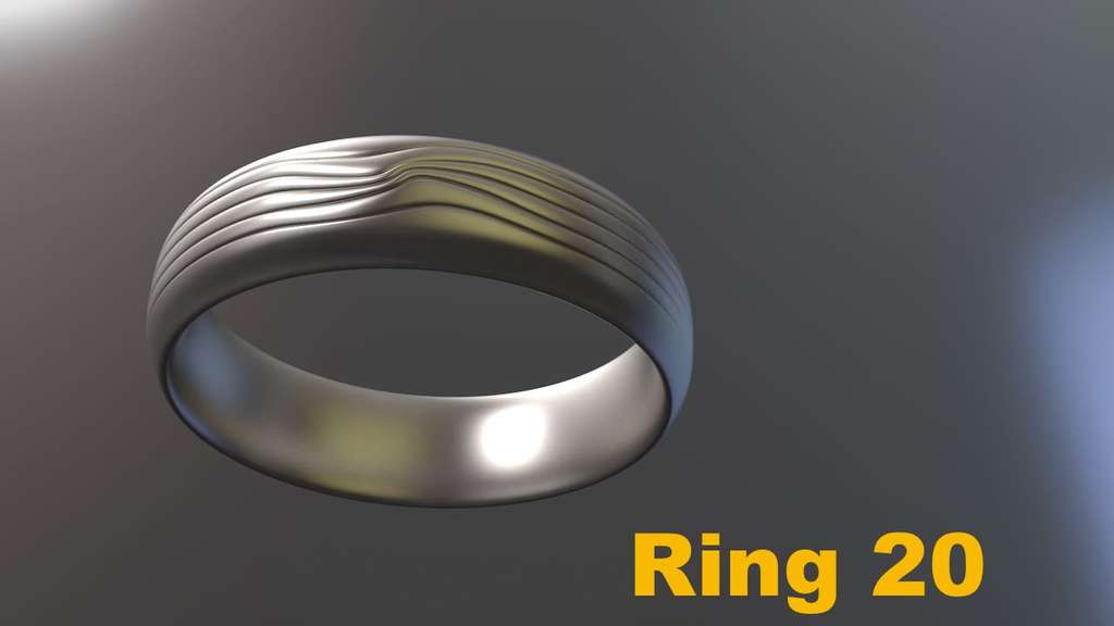 Miniatura 19 do modelo 3D Ring Project