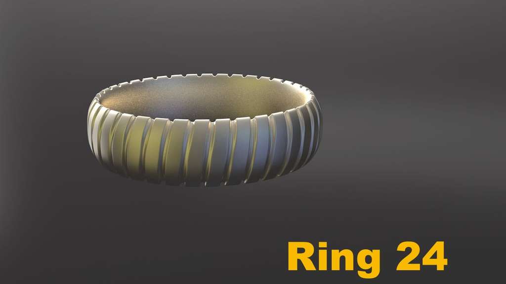 Miniatura 21 do modelo 3D Ring Project