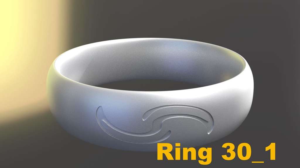 Miniatura 22 do modelo 3D Ring Project