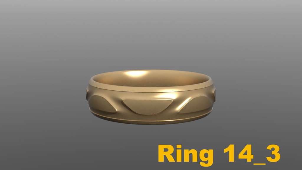 Miniatura 25 do modelo 3D Ring Project