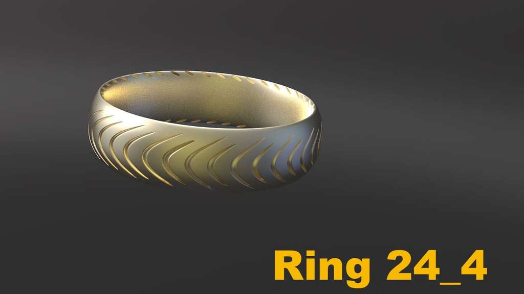 Miniatura 26 do modelo 3D Ring Project