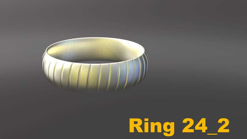 Miniatura 27 do modelo 3D Ring Project