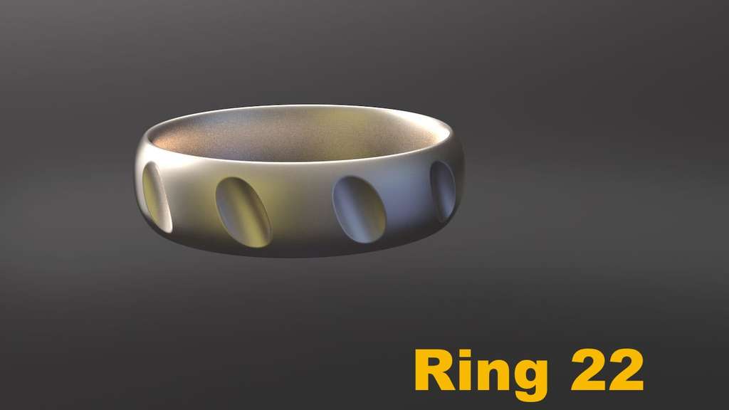 Miniatura 29 do modelo 3D Ring Project