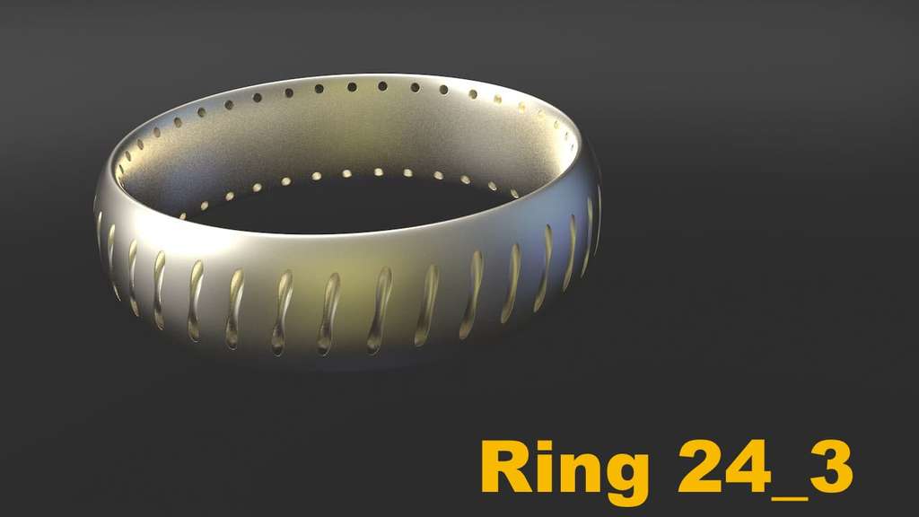 Miniatura 31 do modelo 3D Ring Project