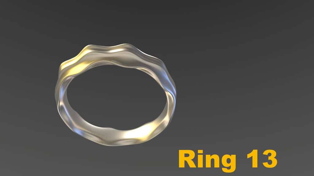 Miniatura 32 do modelo 3D Ring Project