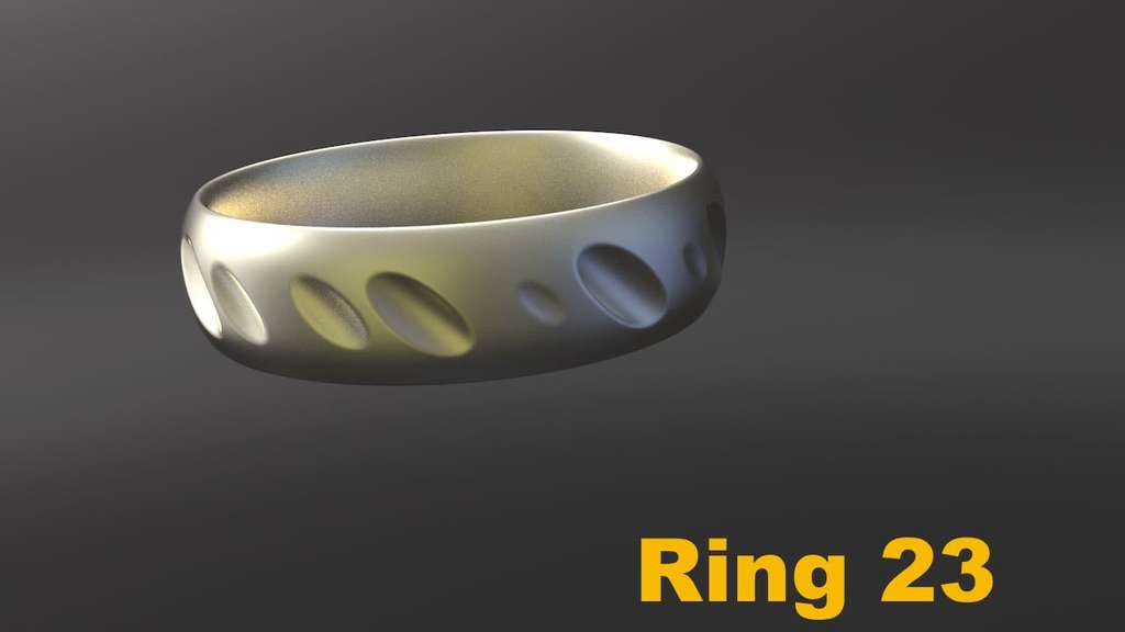 Miniatura 33 do modelo 3D Ring Project