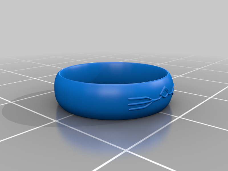 Miniatura 36 do modelo 3D Ring Project