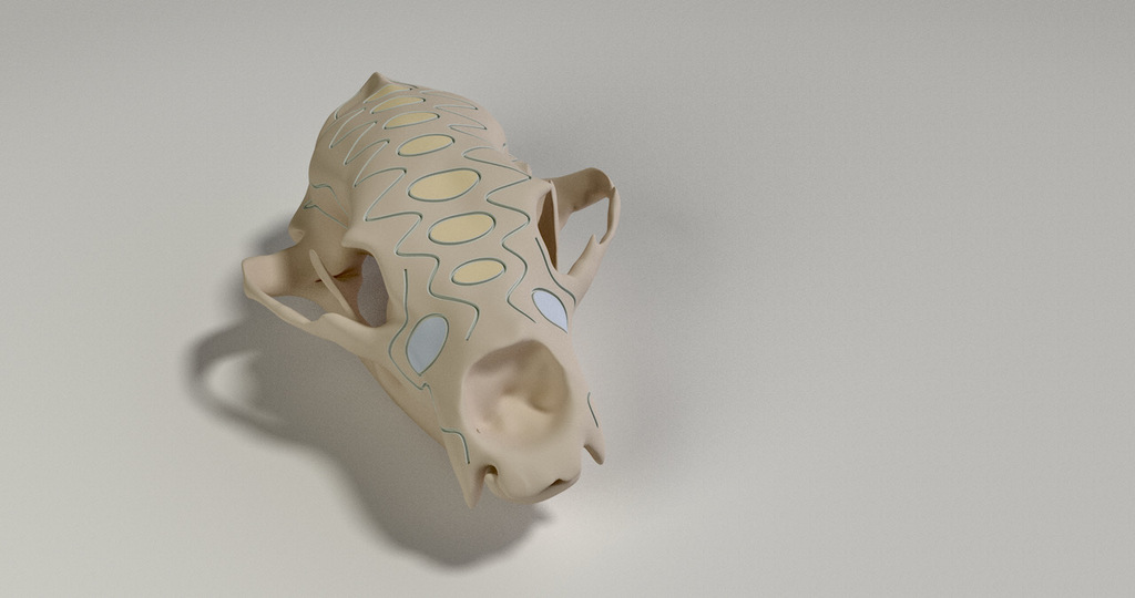 Ornate Bear Skull