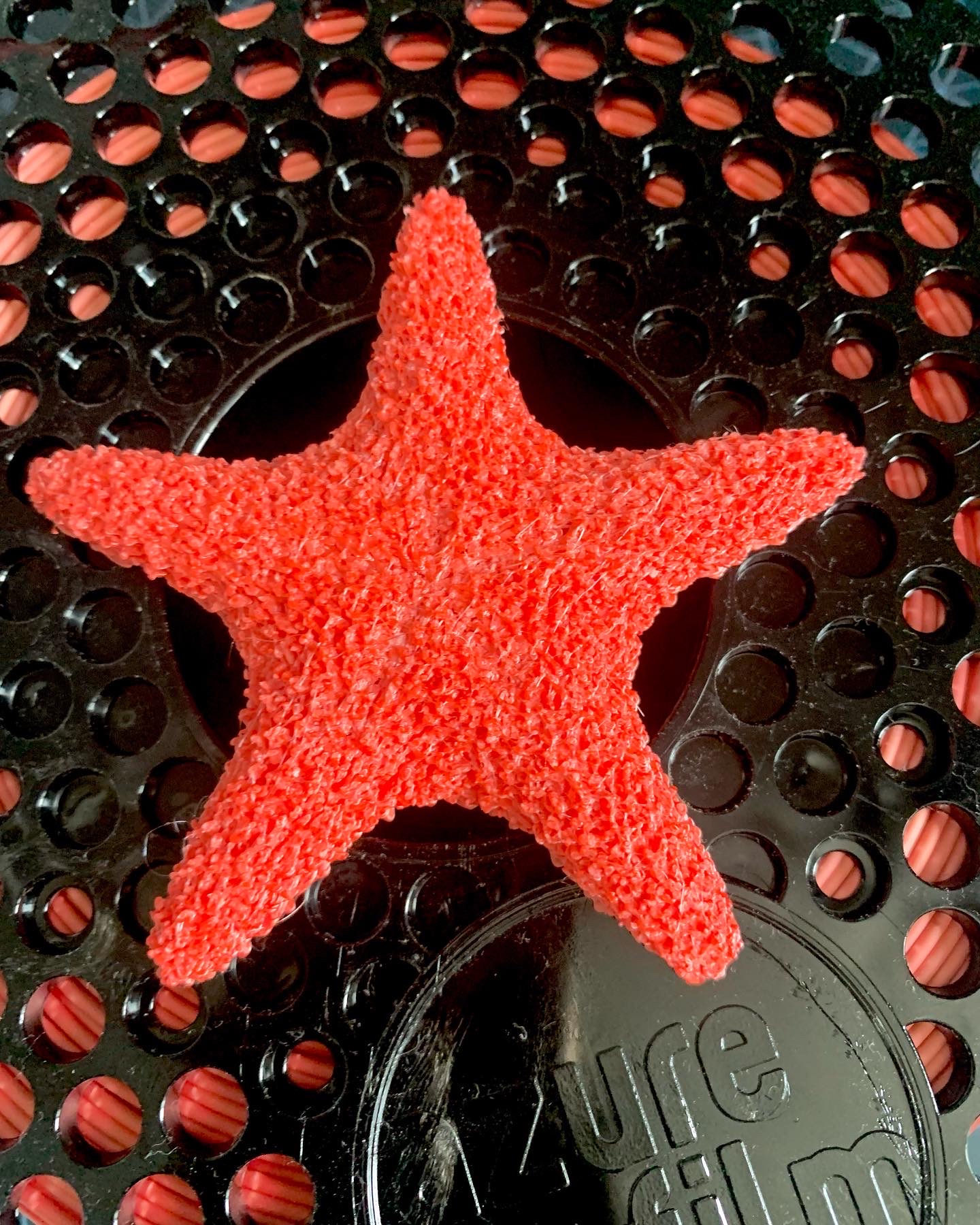 Miniatura 2 do modelo 3D Textured starfish