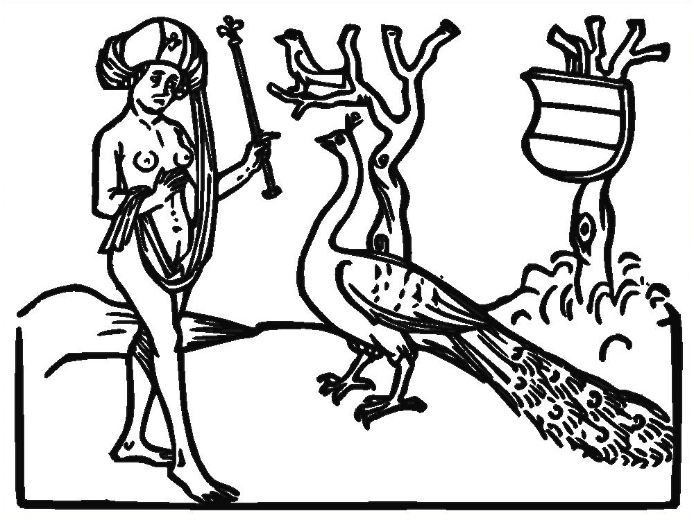 Frau mit Pfau - Woman and Peacock - mediaval drawing