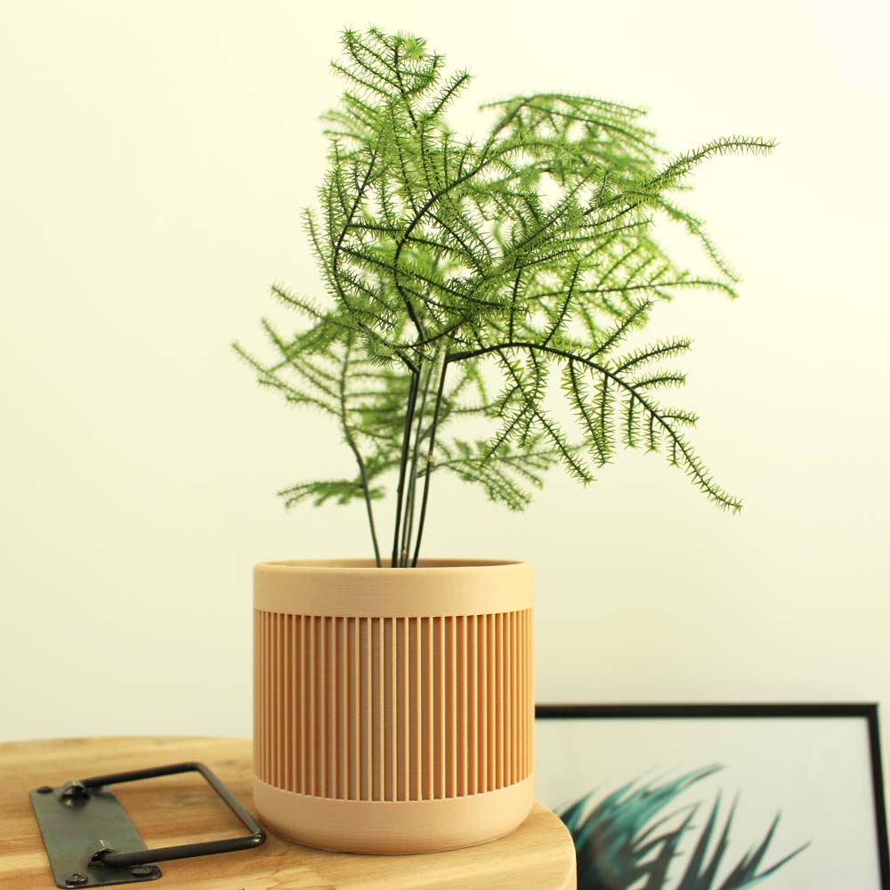 Modern Planter
