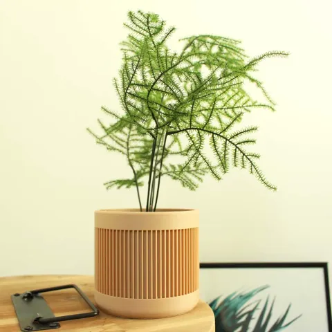 Modern Planter