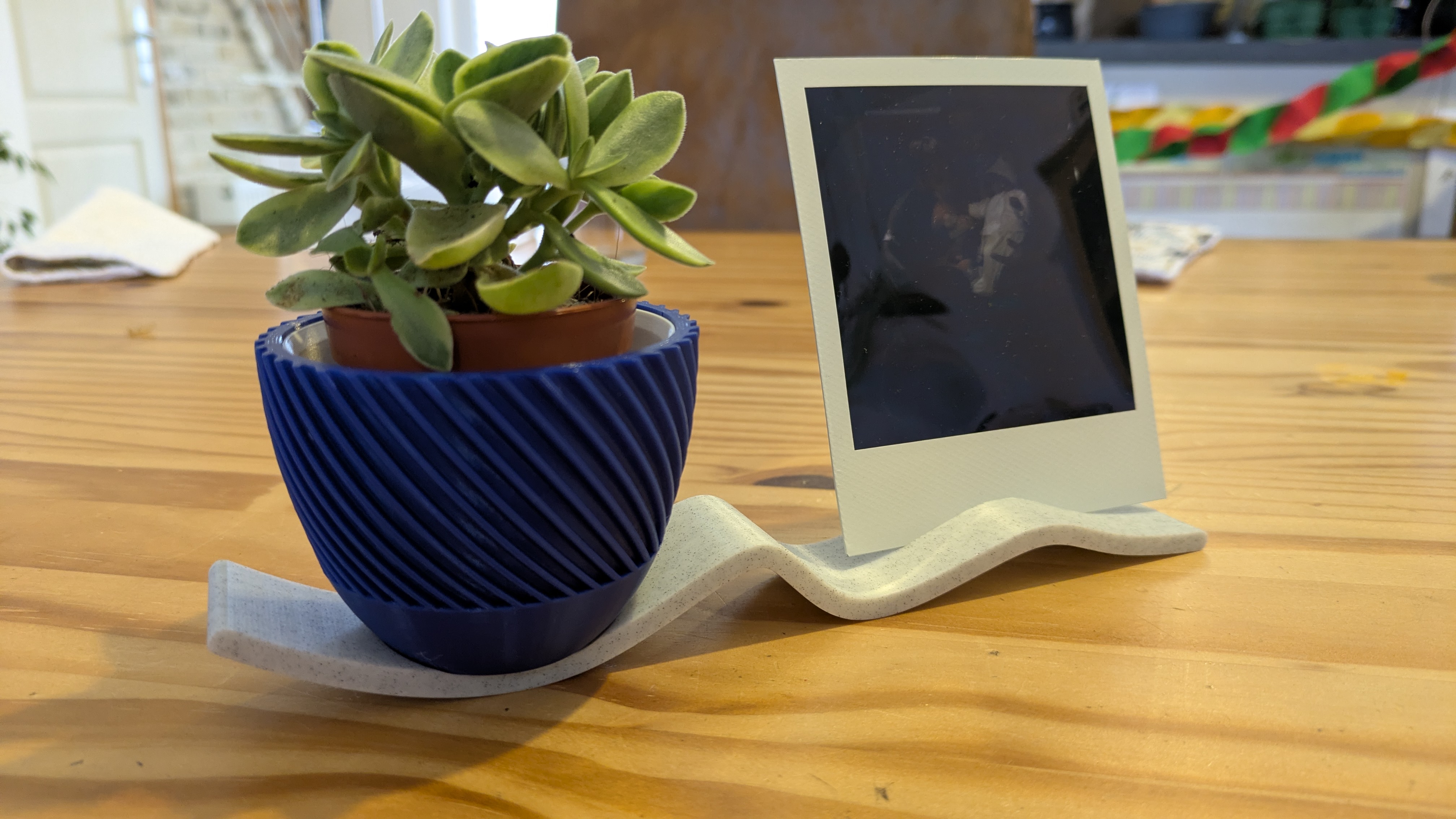 Wave Stand – Pot + Polaroid