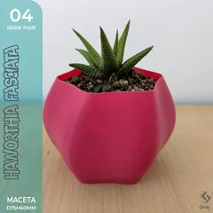Pot B_04