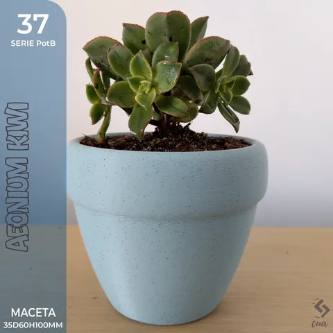 PotB_36