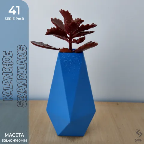 PotB_41