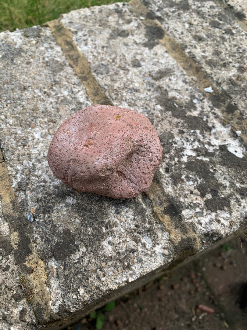 Rock Geocache container