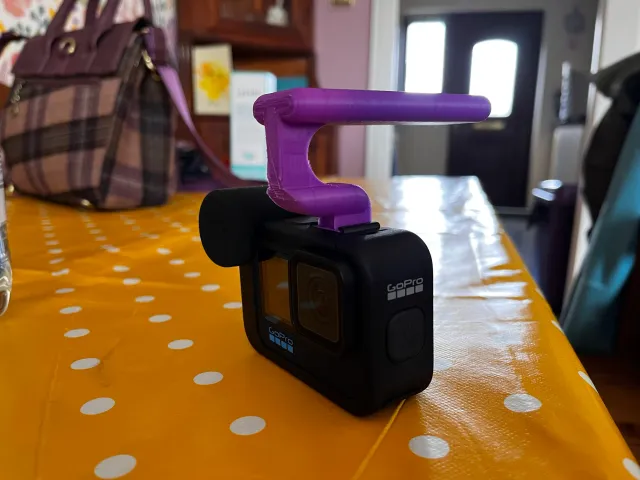 GoPro Handle