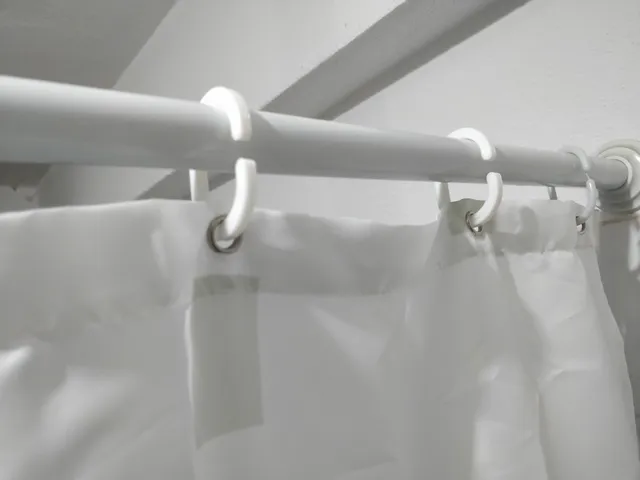 Shower Curtain Hook