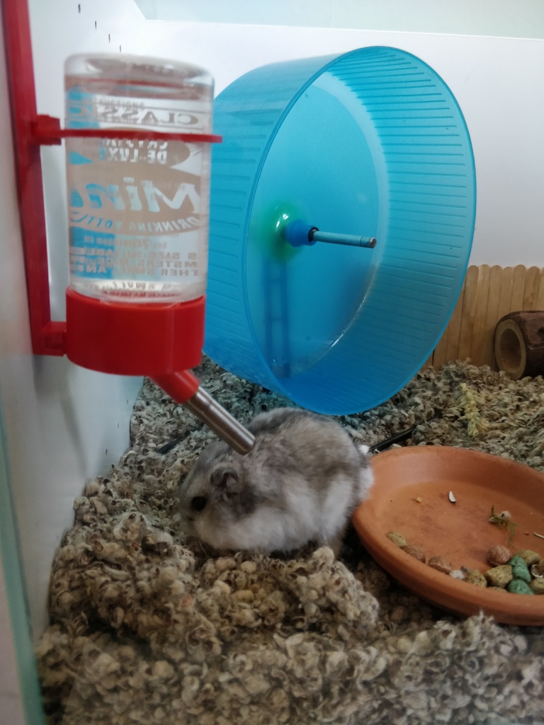 Ikea billy Pet waterbottle holder