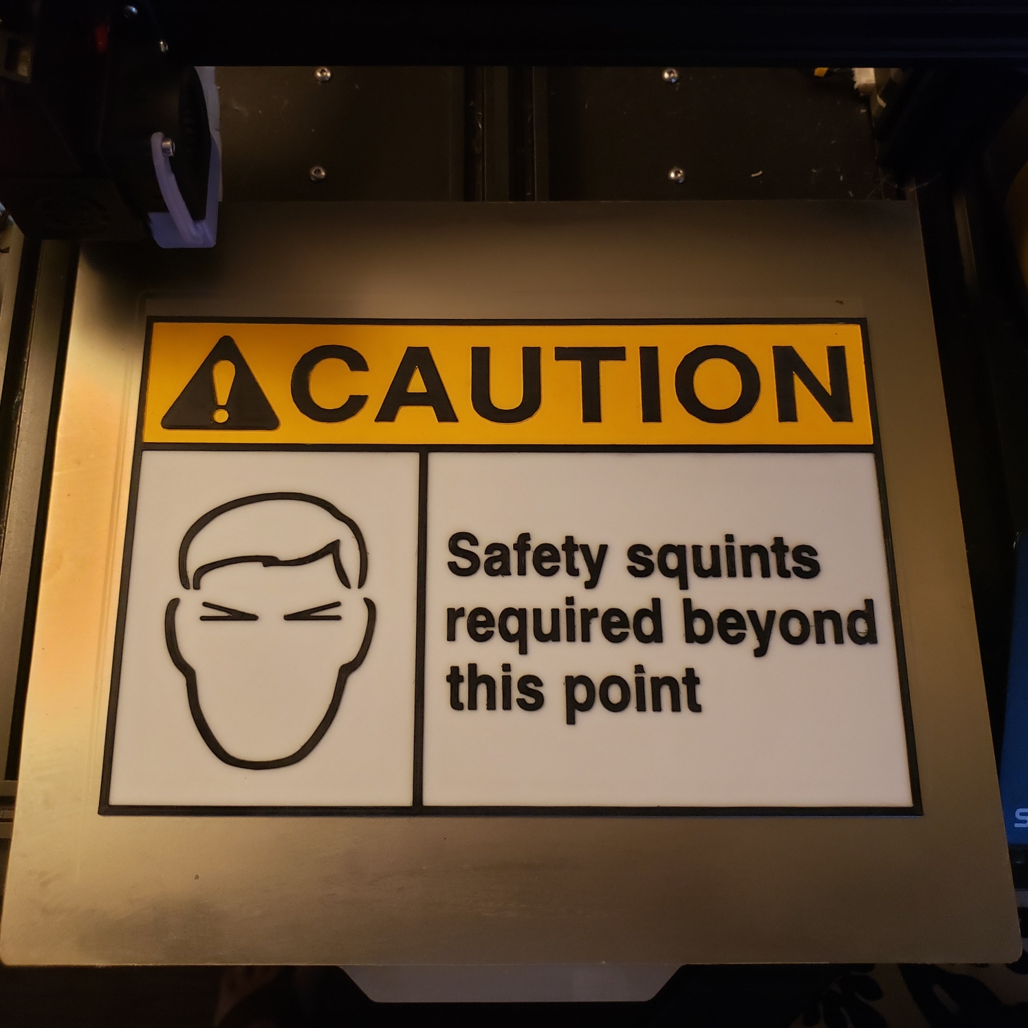Safety Squints Required by Some_Guy Download free STL model
