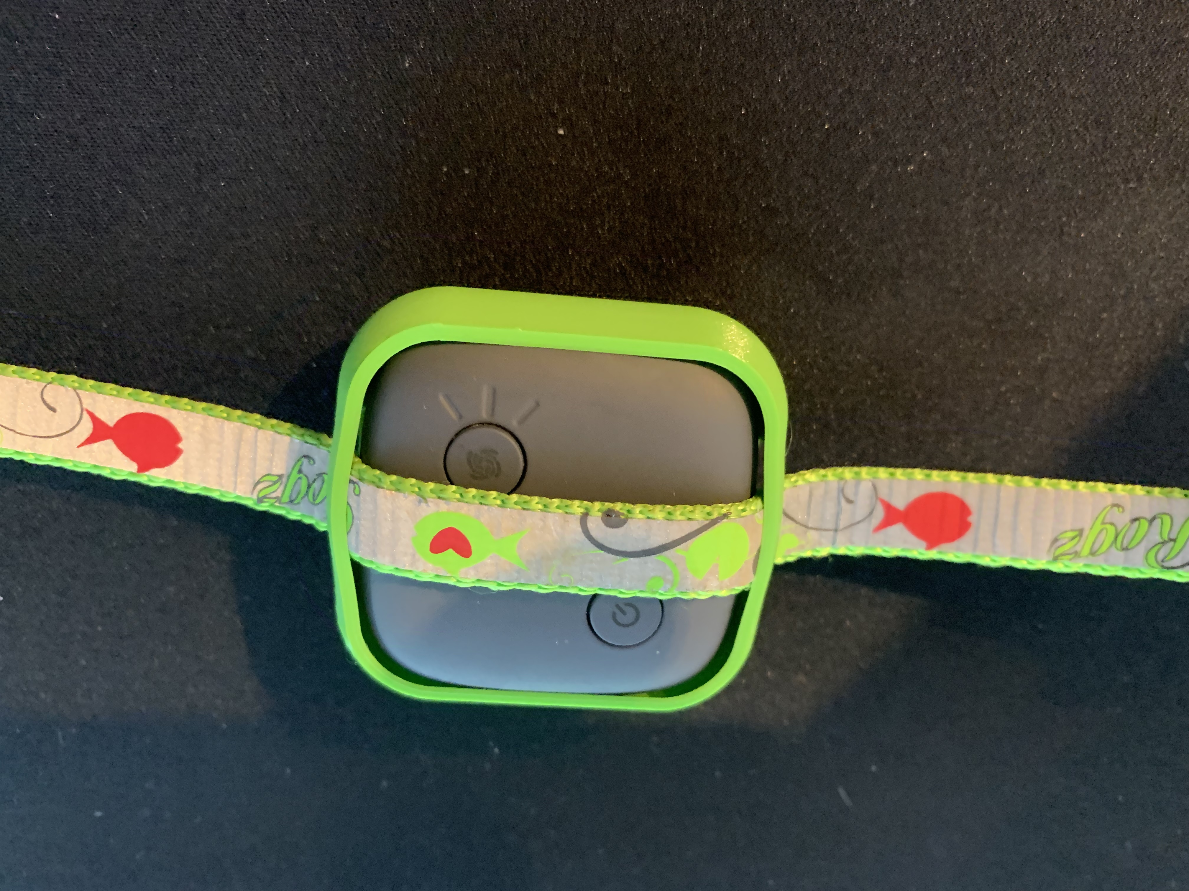 WisNode TrackIt collar case