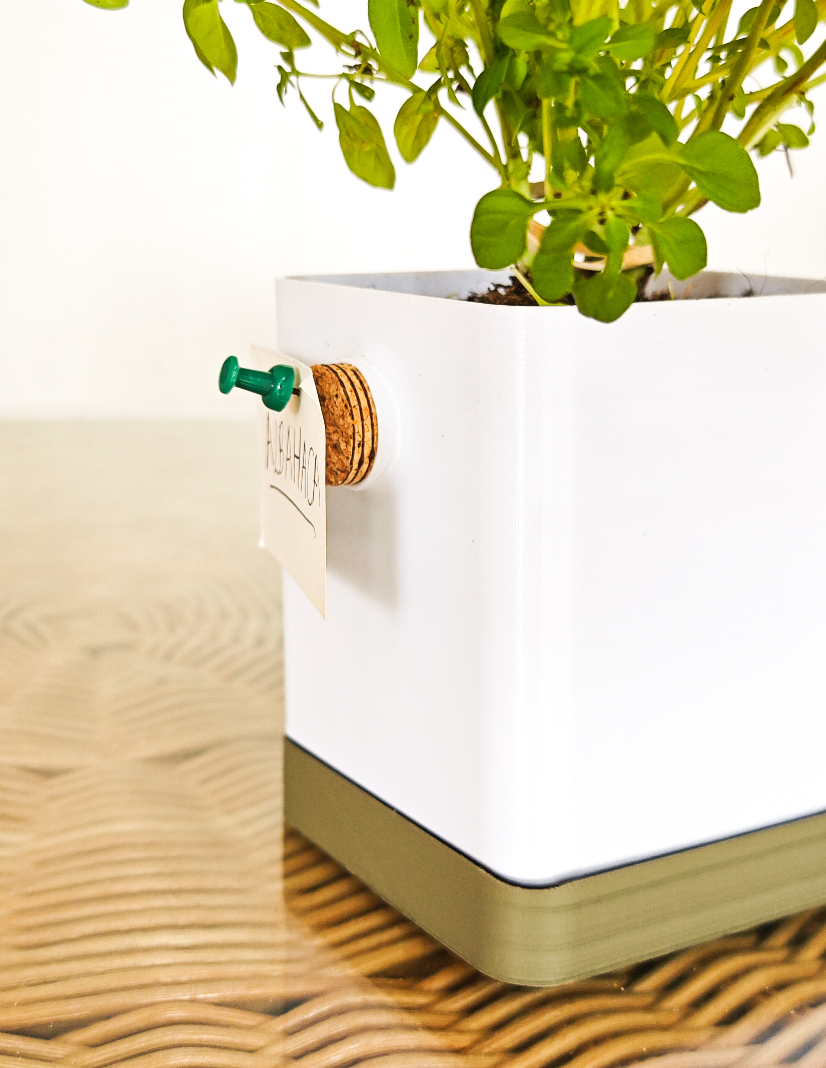Cork Planter — miniatura 4