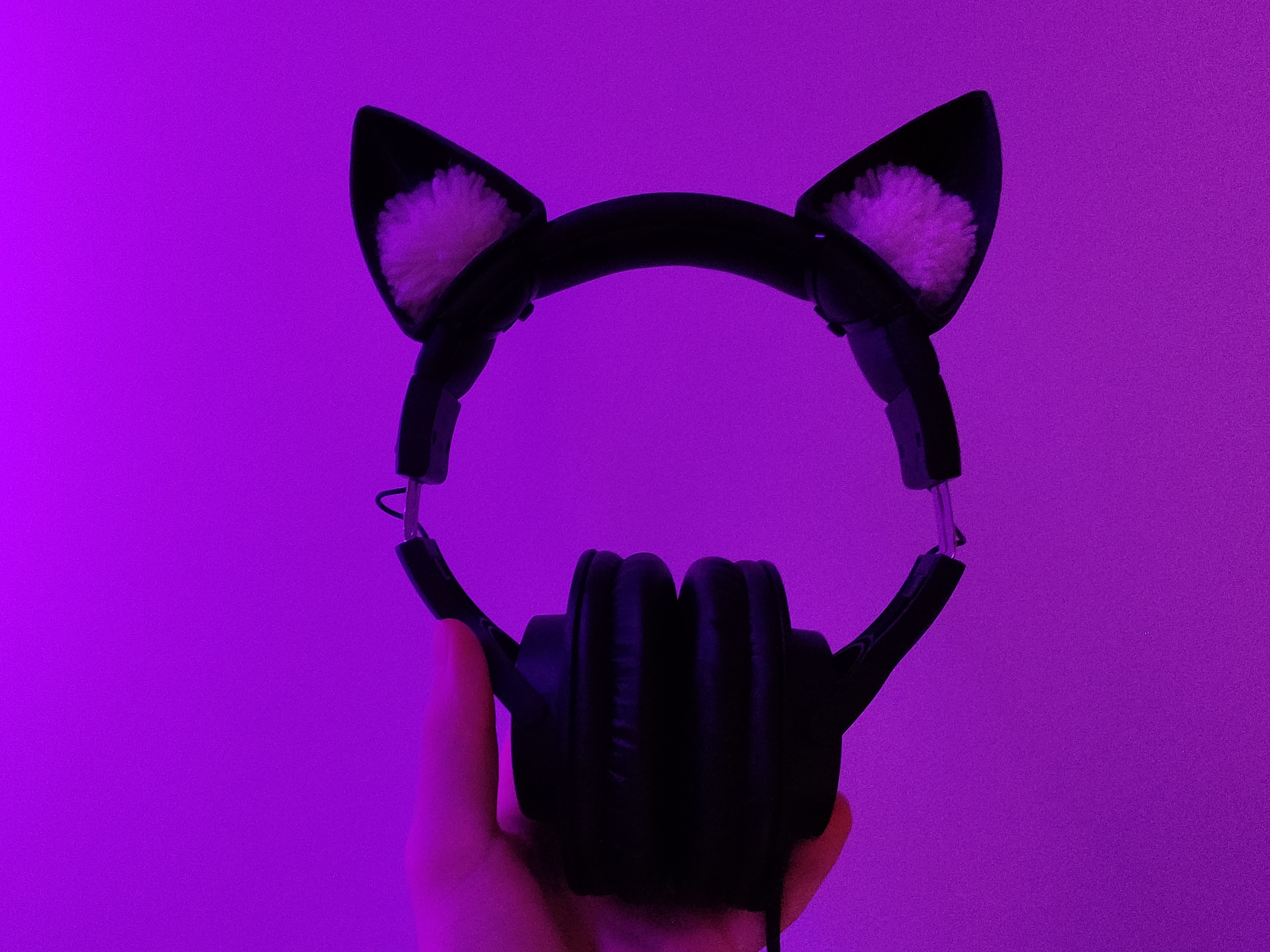 Cat ears for headphones
